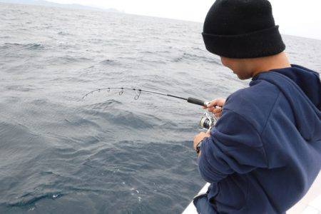 ＢｌｕｅＮｏｔｅ　Ｆｉｓｈｉｎｇ　Ｔａｘｉ 釣果