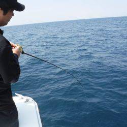 ＢｌｕｅＮｏｔｅ　Ｆｉｓｈｉｎｇ　Ｔａｘｉ 釣果