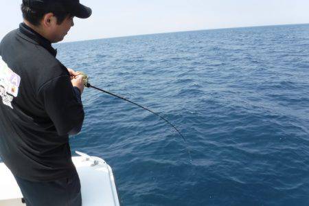 ＢｌｕｅＮｏｔｅ　Ｆｉｓｈｉｎｇ　Ｔａｘｉ 釣果