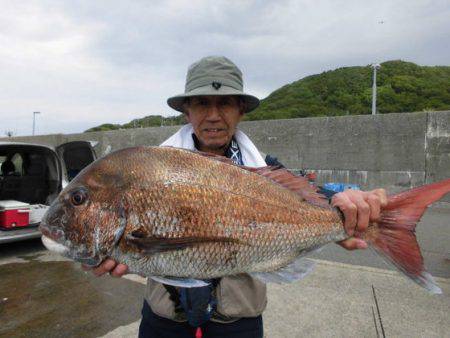 大進丸（新潟） 釣果