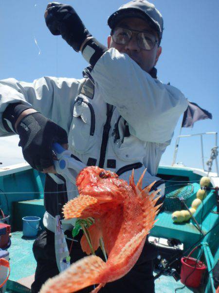 清和丸 釣果