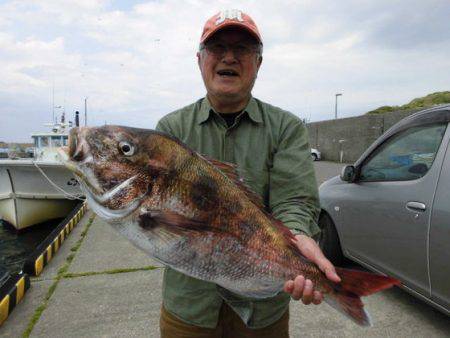 大進丸（新潟） 釣果