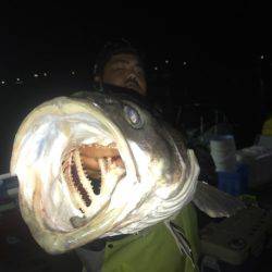 さとみ丸 釣果