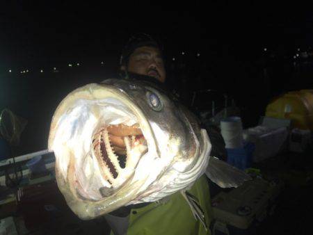 さとみ丸 釣果