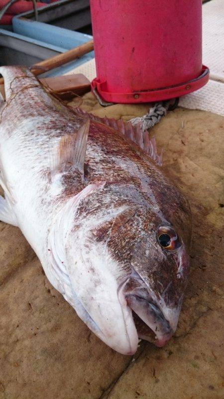 宝生丸 釣果