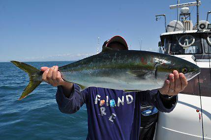 八海丸 釣果