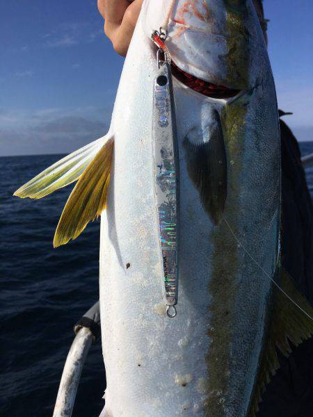 松鶴丸 釣果