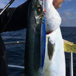 松鶴丸 釣果