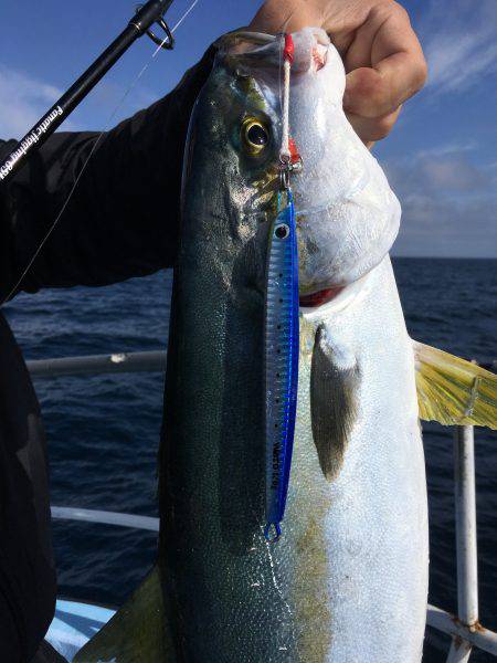 松鶴丸 釣果