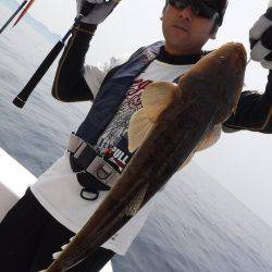 ＢｌｕｅＮｏｔｅ　Ｆｉｓｈｉｎｇ　Ｔａｘｉ 釣果