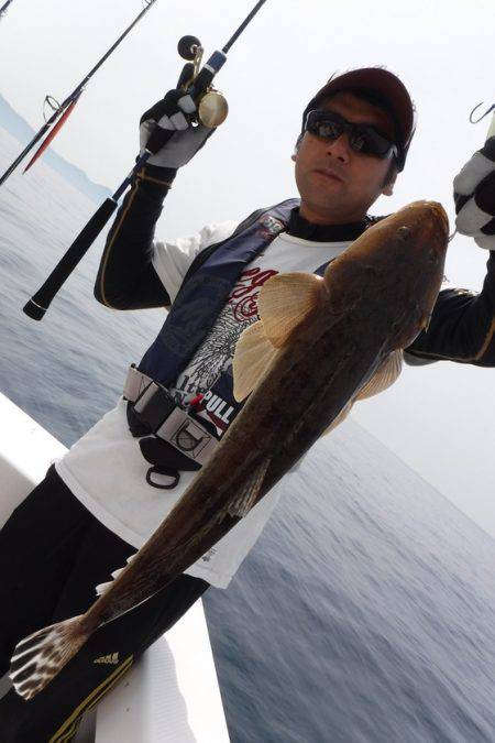 ＢｌｕｅＮｏｔｅ　Ｆｉｓｈｉｎｇ　Ｔａｘｉ 釣果