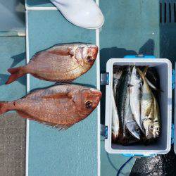 利一丸 釣果