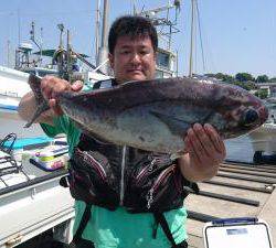 かねい丸 釣果