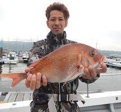 はたの家 釣果