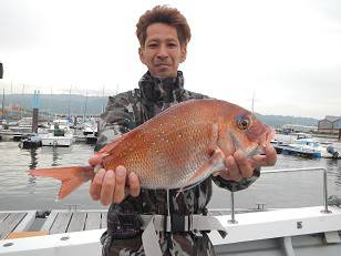 はたの家 釣果