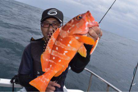 渡船屋たにぐち 釣果