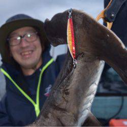 渡船屋たにぐち 釣果