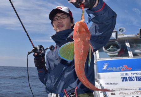 渡船屋たにぐち 釣果