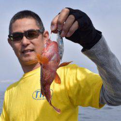 渡船屋たにぐち 釣果