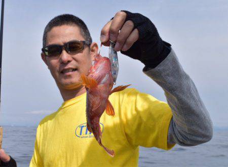 渡船屋たにぐち 釣果