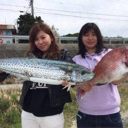 ぽん助丸 釣果