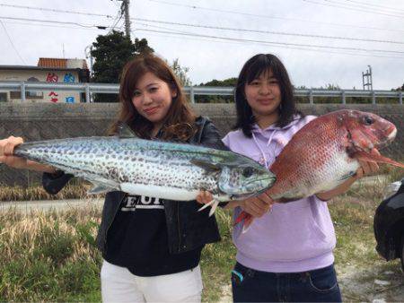 ぽん助丸 釣果