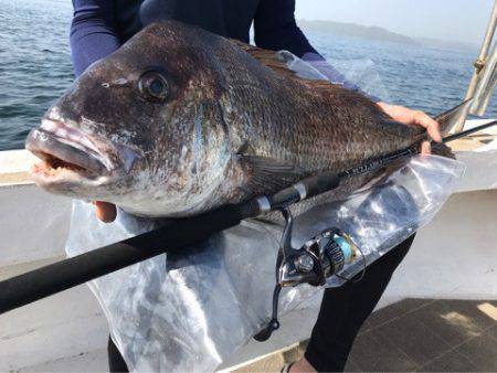 Seasonal 釣果