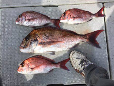 釣鯛洋 釣果