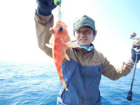 渡船屋たにぐち 釣果