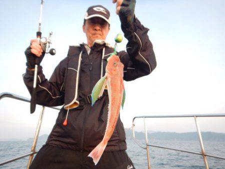 渡船屋たにぐち 釣果