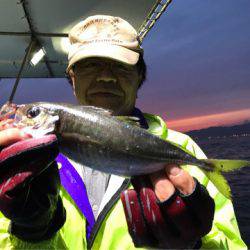 ヤザワ渡船 釣果