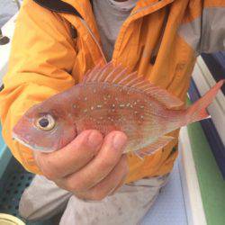 丸万釣船 釣果