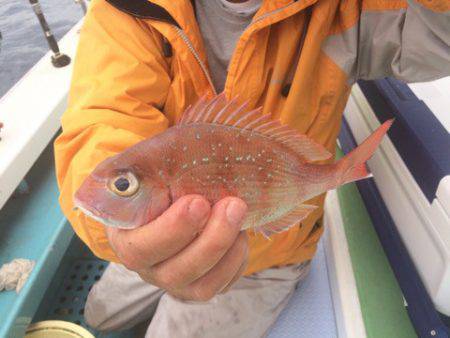 丸万釣船 釣果