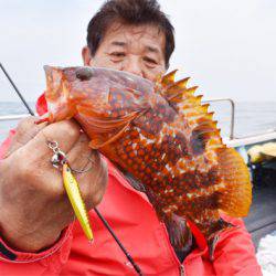 渡船屋たにぐち 釣果