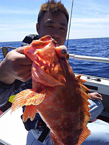 光生丸 釣果