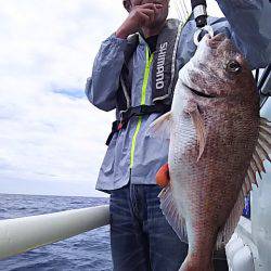 光生丸 釣果