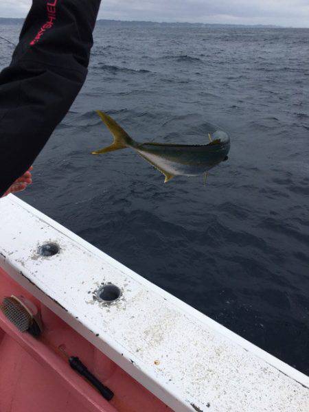 山正丸 釣果