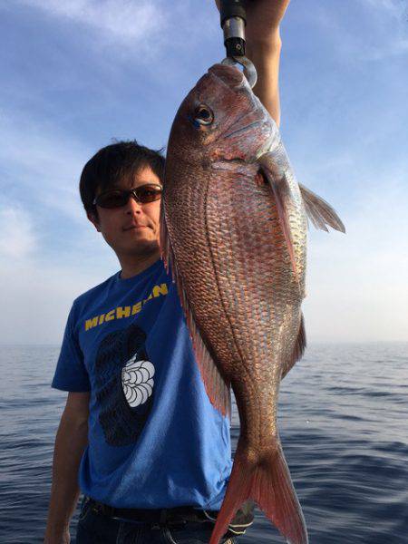 エヌスタイル 釣果