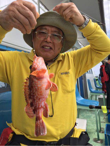 ヤザワ渡船 釣果