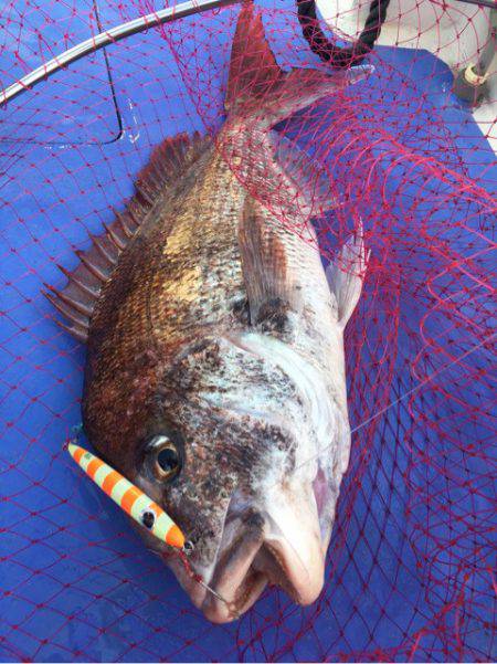 真正丸 釣果