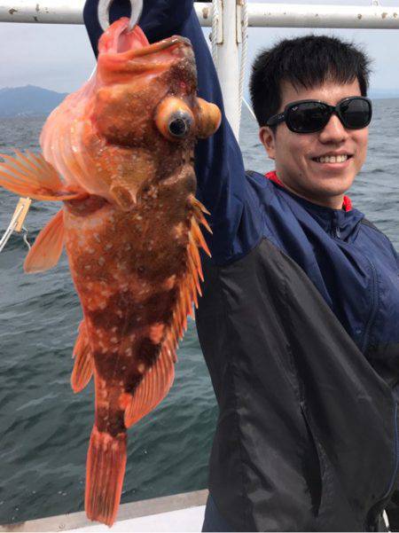 釣鯛洋 釣果