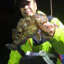 ヤザワ渡船 釣果