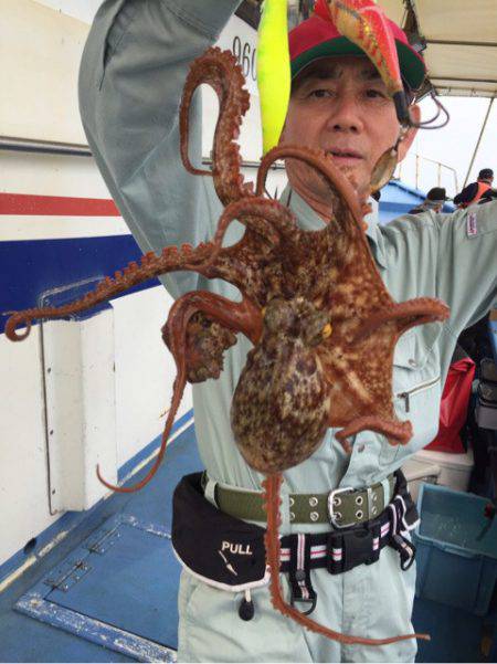 ヤザワ渡船 釣果