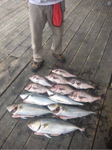 釣り堀水宝 釣果