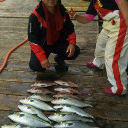 釣り堀水宝 釣果