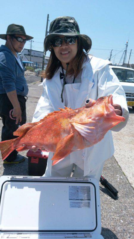 富士丸 釣果