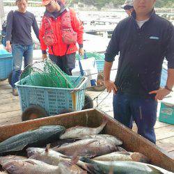 海の釣堀 海恵 釣果