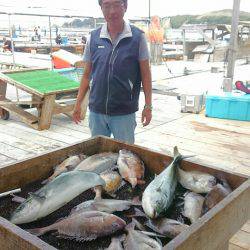 海の釣堀 海恵 釣果