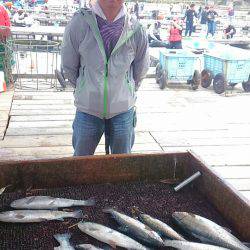 海の釣堀 海恵 釣果