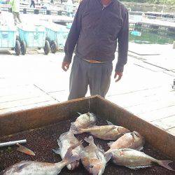 海の釣堀 海恵 釣果